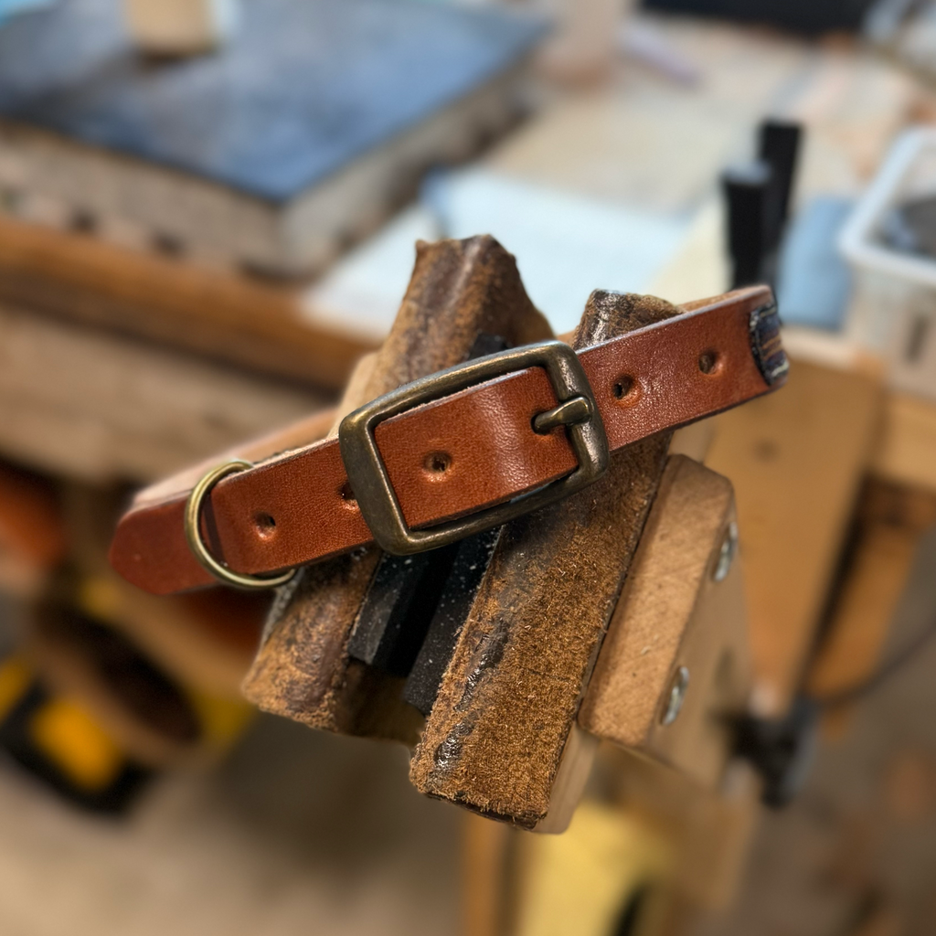 The Field Collar